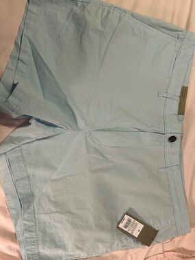 Target Blue Everyday Shorts